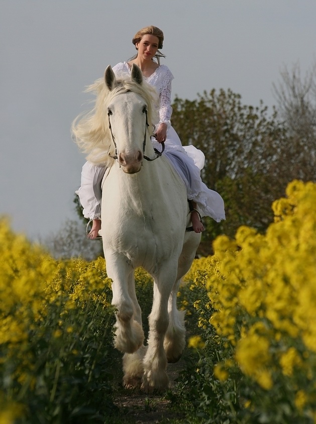 629x844, 192 Kb / девушка, лошадь, цветы