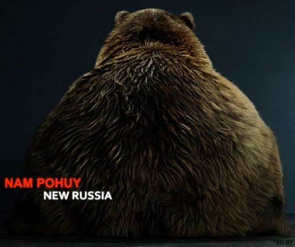 600x502, 45 Kb / медведь, россия, похуй