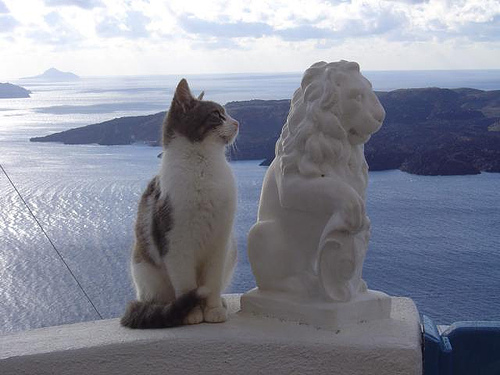 500x375, 81 Kb / кот, море, скульптура