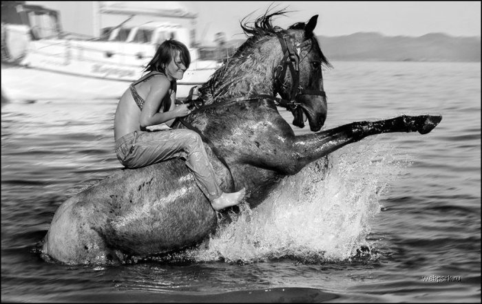 700x442, 78 Kb / девушка, вода, лошадь
