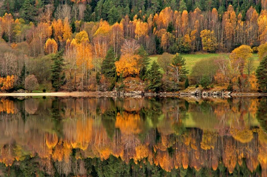 900x597, 124 Kb / осень, озеро, деревья, отражение, пейзаж