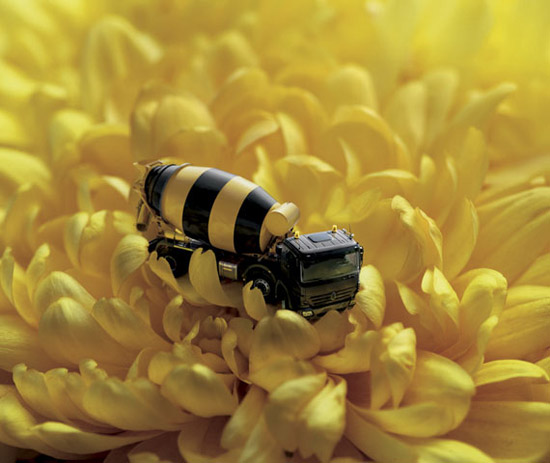 550x463, 54 Kb / грузовик, пчела, цветок