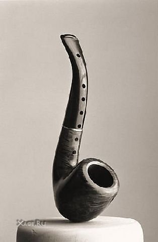 314x480, 15 Kb / ������, ������