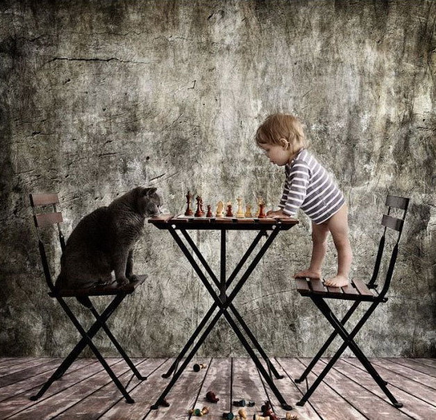 628x605, 185 Kb / ребенок, кот, шахматы