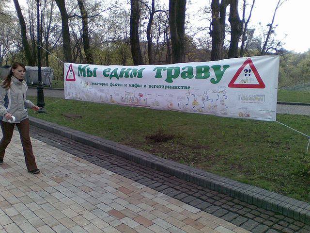 640x480, 92 Kb / девушка, трава, транспарант, растяжка, вегетарианство, Киев