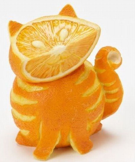 457x549, 54 Kb / апельсин, кот