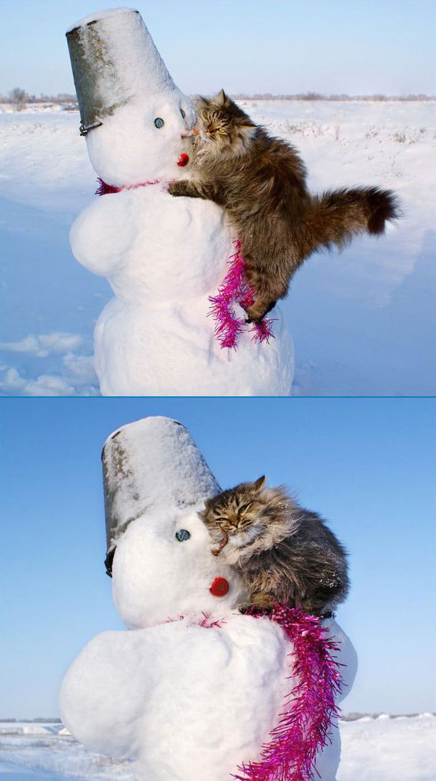 632x1133, 145 Kb / кот, снеговик