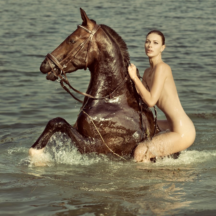 900x900, 188 Kb / конь, лошадь, вода, купание