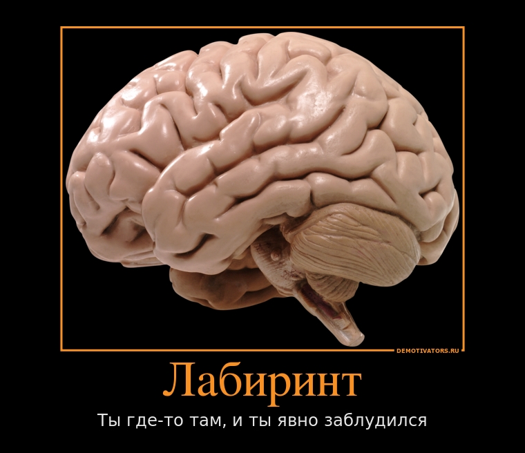 Картинка про мозг. Мозг прикольный. Мозг прикол. Прикольный головной мозг.