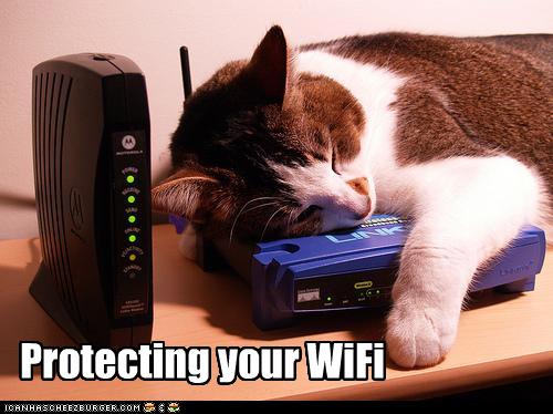 500x374, 35 Kb / кот, wifi, firewall