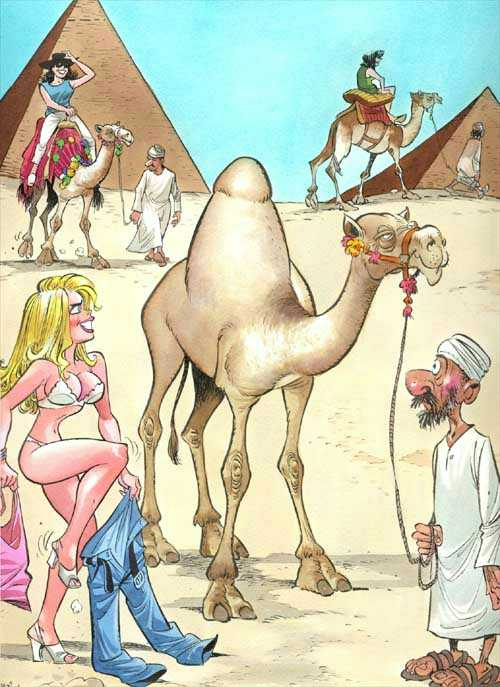 500x687, 53 Kb / бедуин, верблюд, пирамида, блондинка