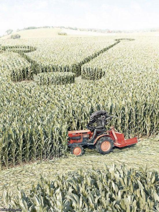 550x730, 121 Kb / кукуруза, поле, трактор, чужой, инопланетянин, знак
