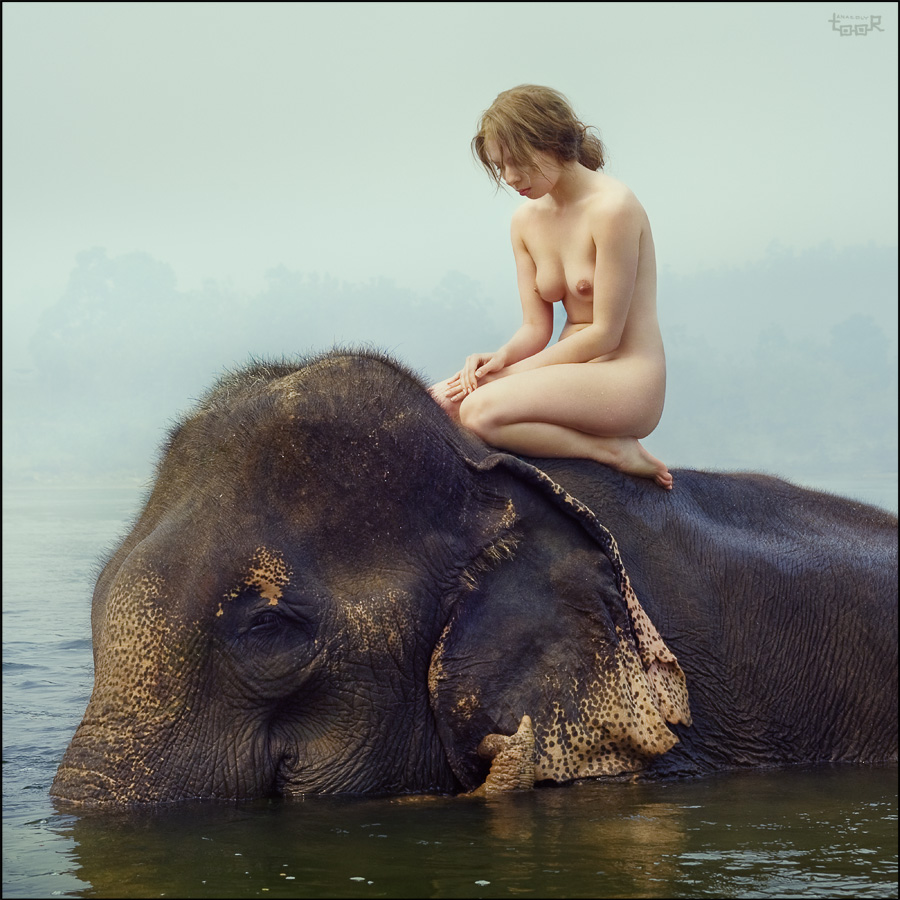 Nude elephant