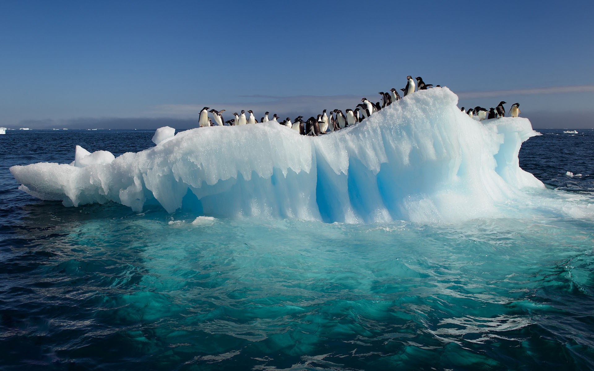 1920x1200, 295 Kb / толпа, пингвины, айсберг, море, океан, небо