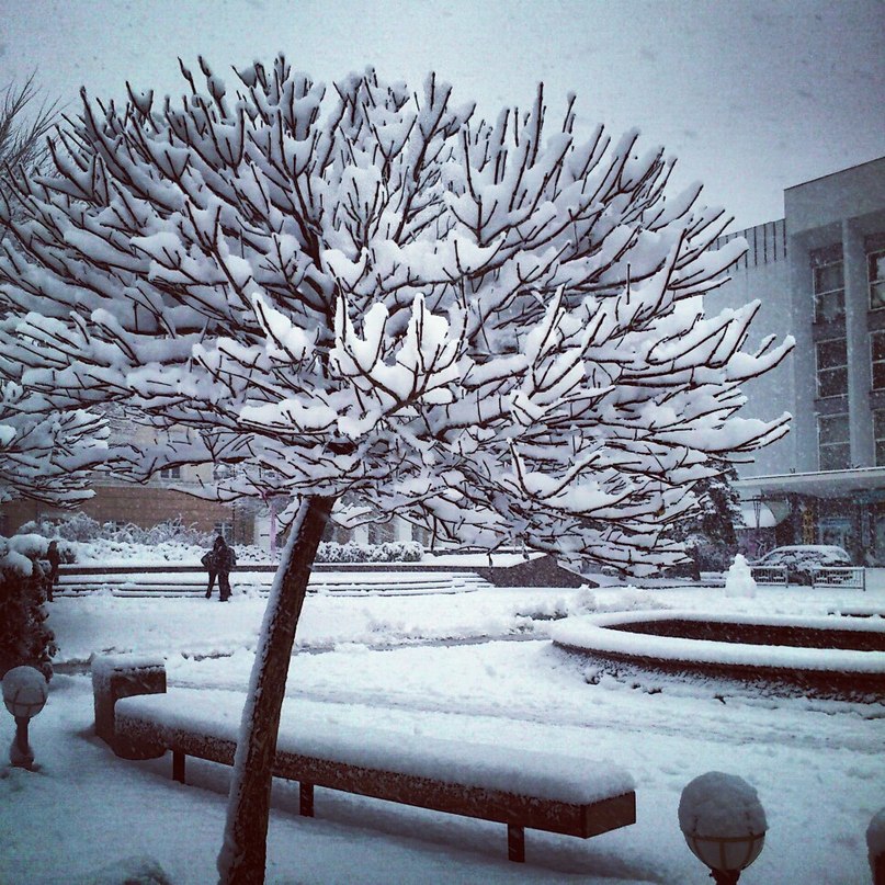 807x807, 218 Kb / Винница, зима, снег, Украина