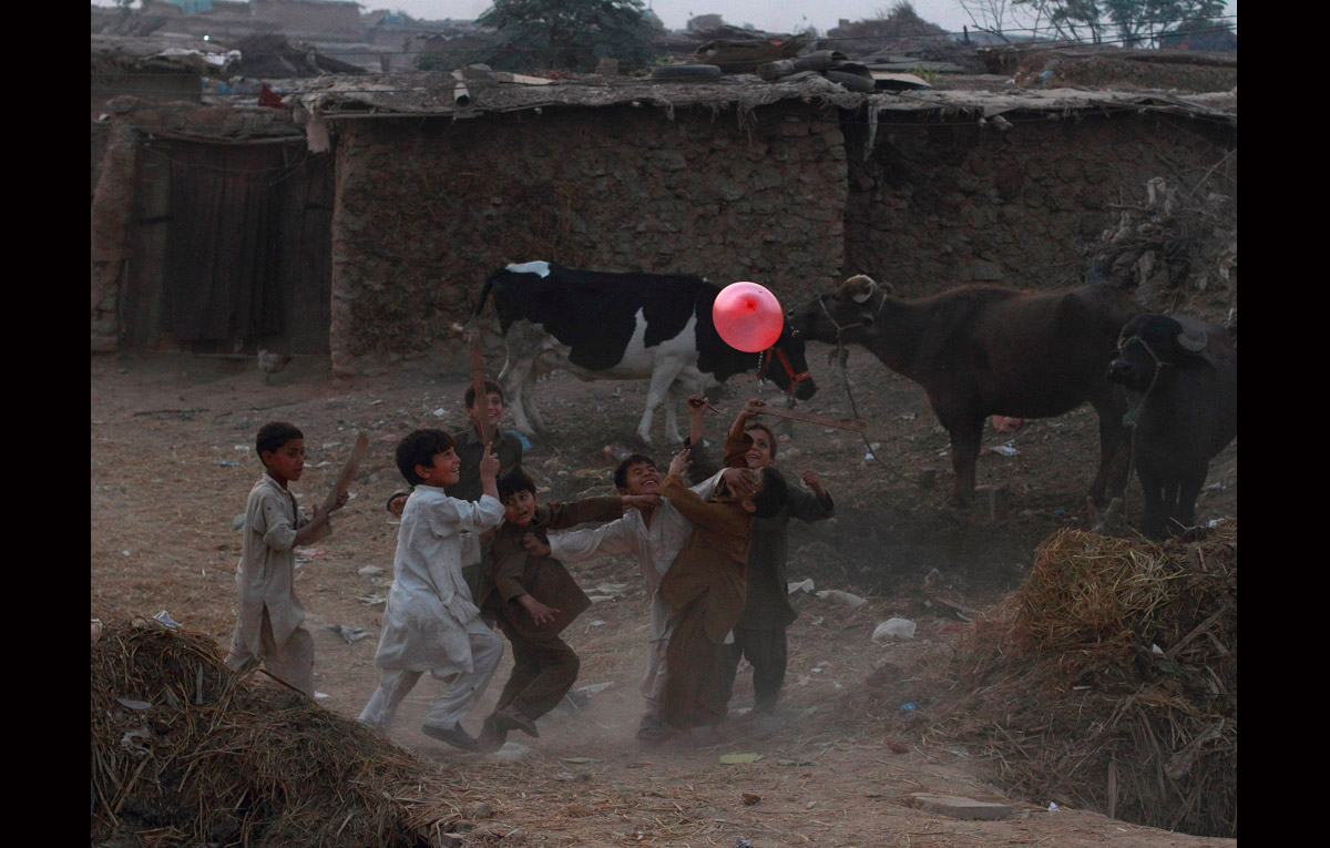 1200x765, 222 Kb / шарик, коровы, дети, Исламабад, Faisal Mahmood