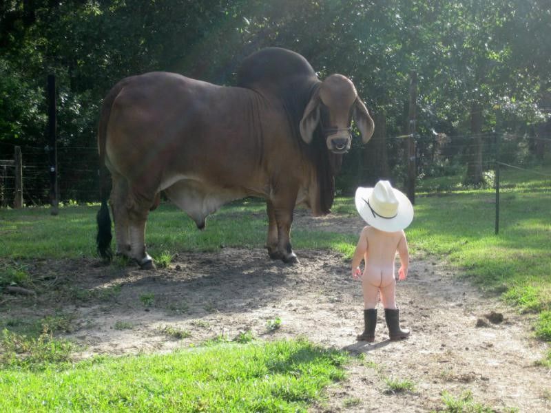 800x600, 91 Kb / шляпа, буйвол, ребенок, ковбой