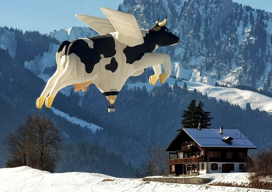 900x637, 134 Kb / корова, воздушный шар