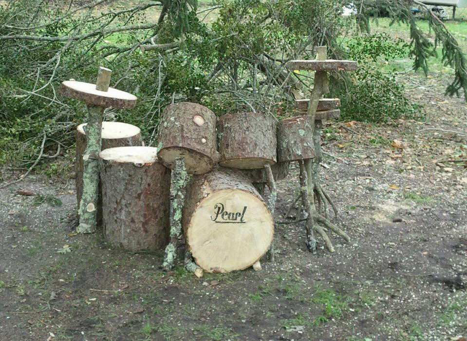 959x700, 249 Kb / дерево, пеньки, барабан