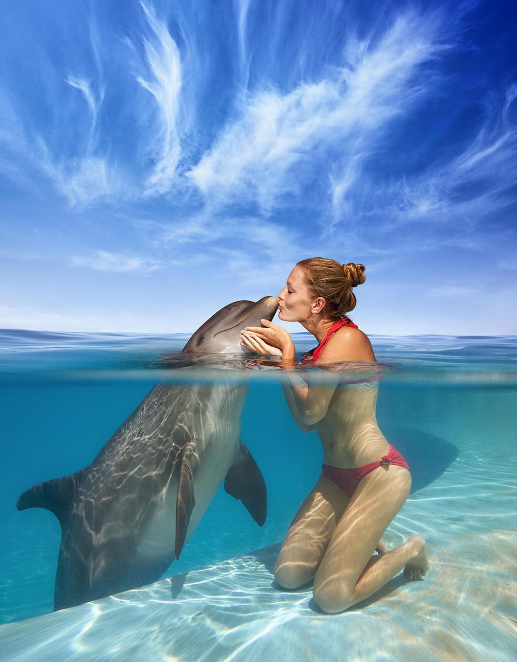 1065x1363, 182 Kb / дельфин, вода, поцелуй