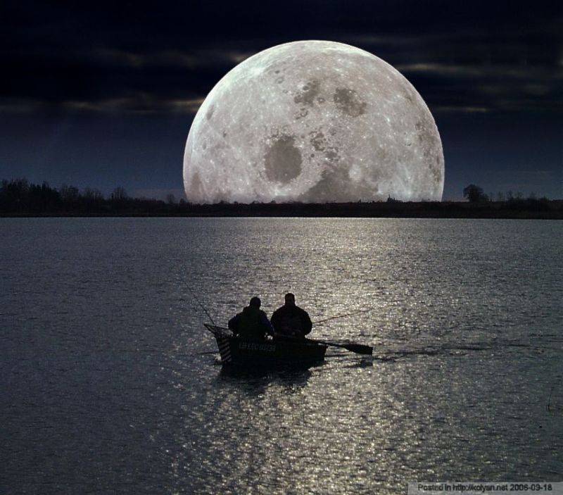 800x703, 74 Kb / ночь, луна, озеро, лодка, рыбалка
