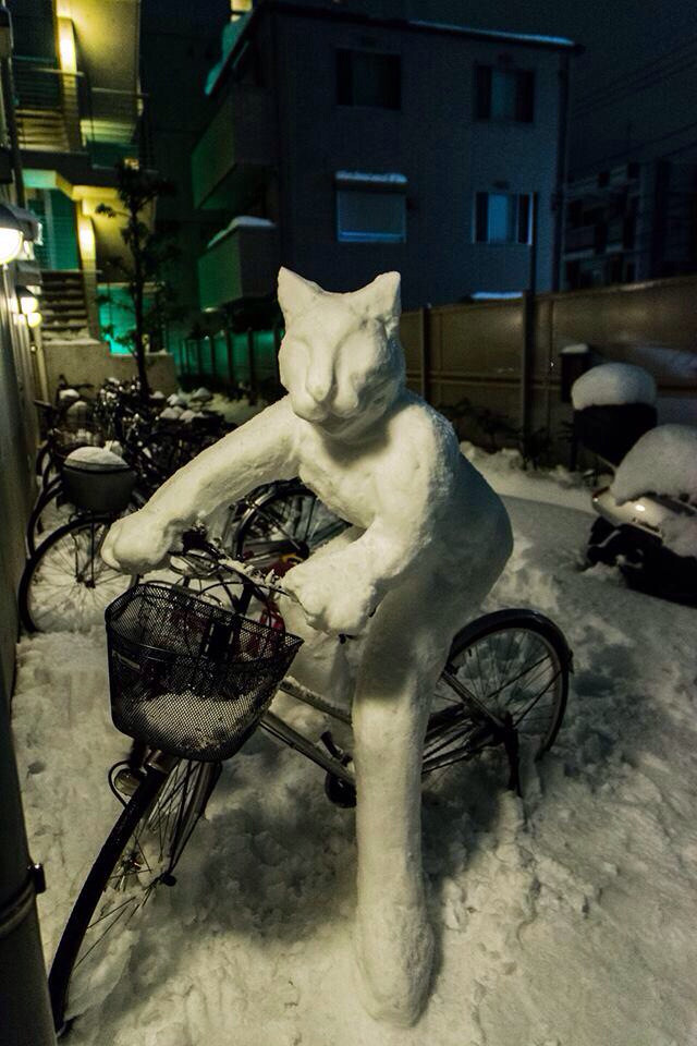 640x960, 133 Kb / велосипед, кот, снеговик