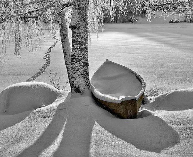 670x547, 241 Kb / снег, лодка, следы, дерево