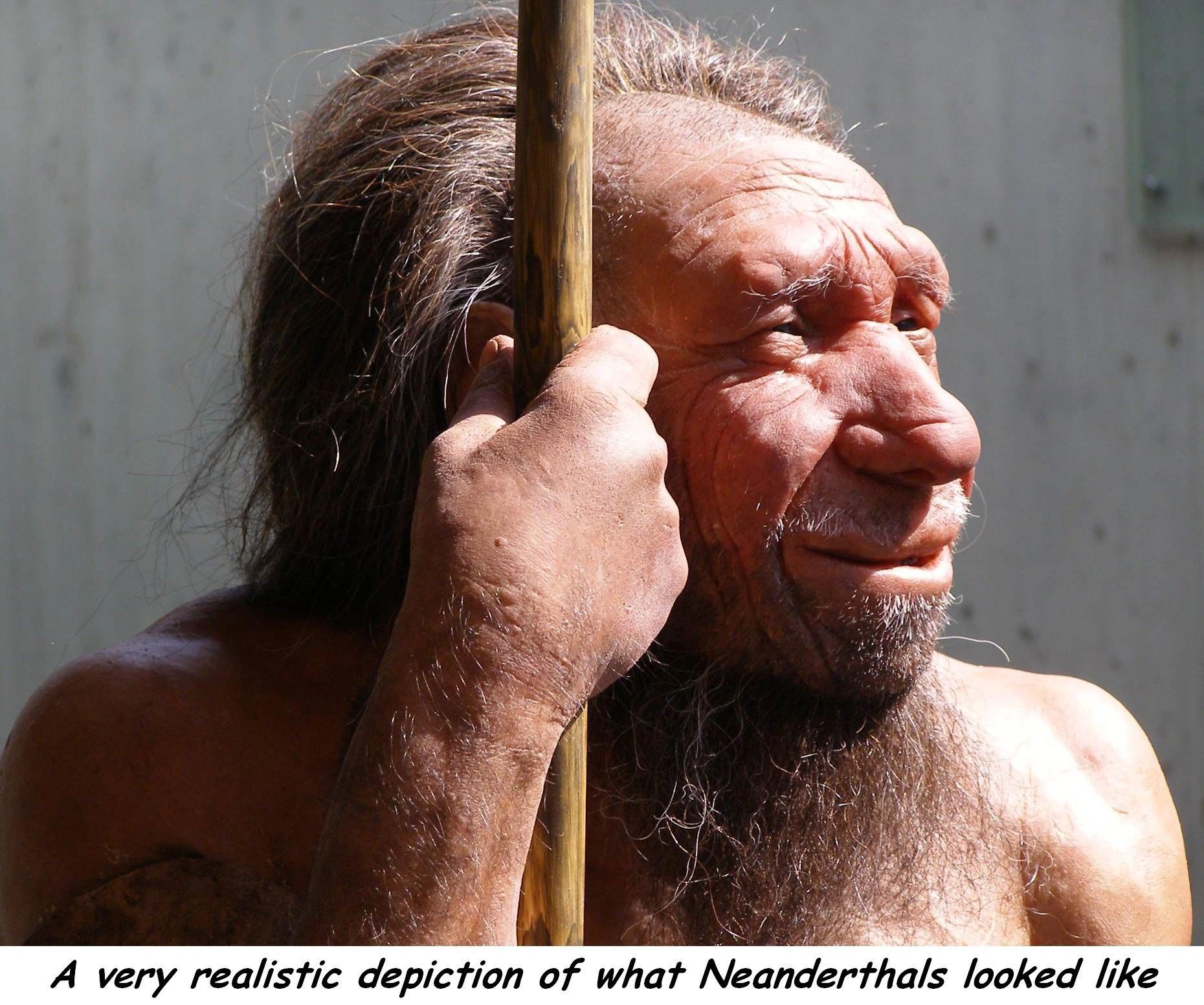 1860x1552, 346 Kb / неандерталец, 3d, палеоантроп, борода