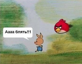 349x276, 14 Kb / , Angry Birds,  