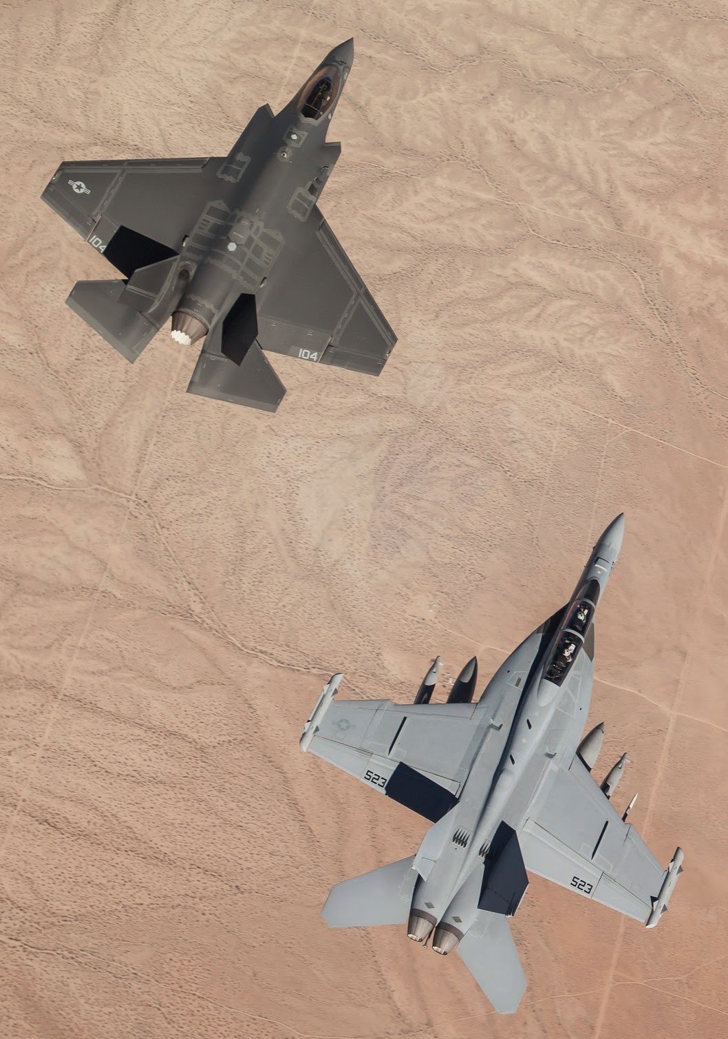 1058x1508, 307 Kb / самолёт, пустыня, истребитель-бомбардировщик, F-35, F/A-18, военщина