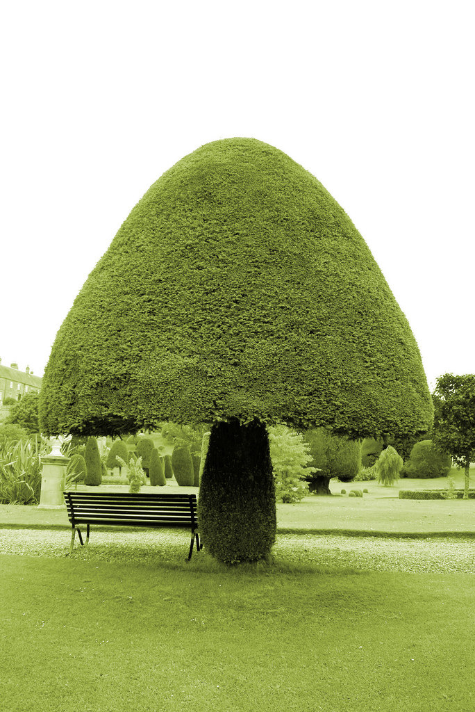 684x1024, 241 Kb / гриб, скамейка, ландшафтный дизайн, куст, дерево