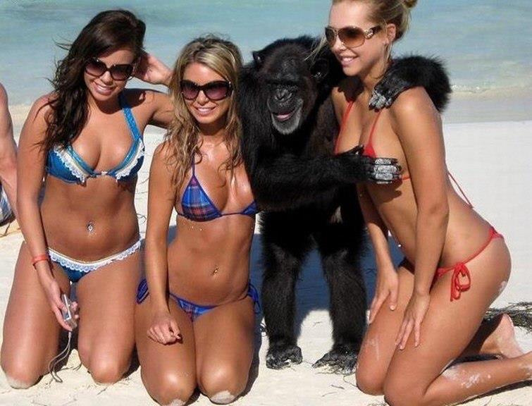 755x576, 69 Kb / девушки, фотоаппарат, очки, берег, обезьяна, шимпанзе