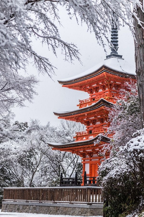 600x900, 279 Kb / япония, киото, пагода, красный, белый, снег, зима, Takahiro Bessho
