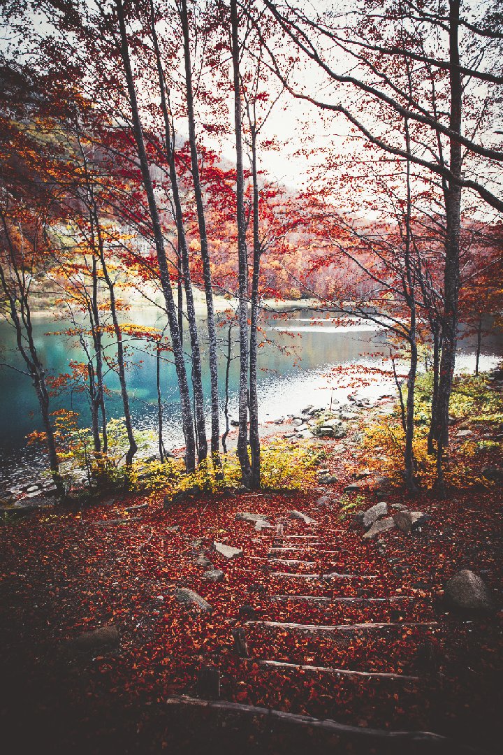 720x1080, 346 Kb / лес, осень, листопад, листья, озеро, лестница, ступеньки, камни