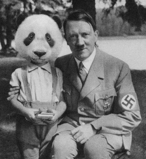 499x542, 44 Kb / Гитлер, панда