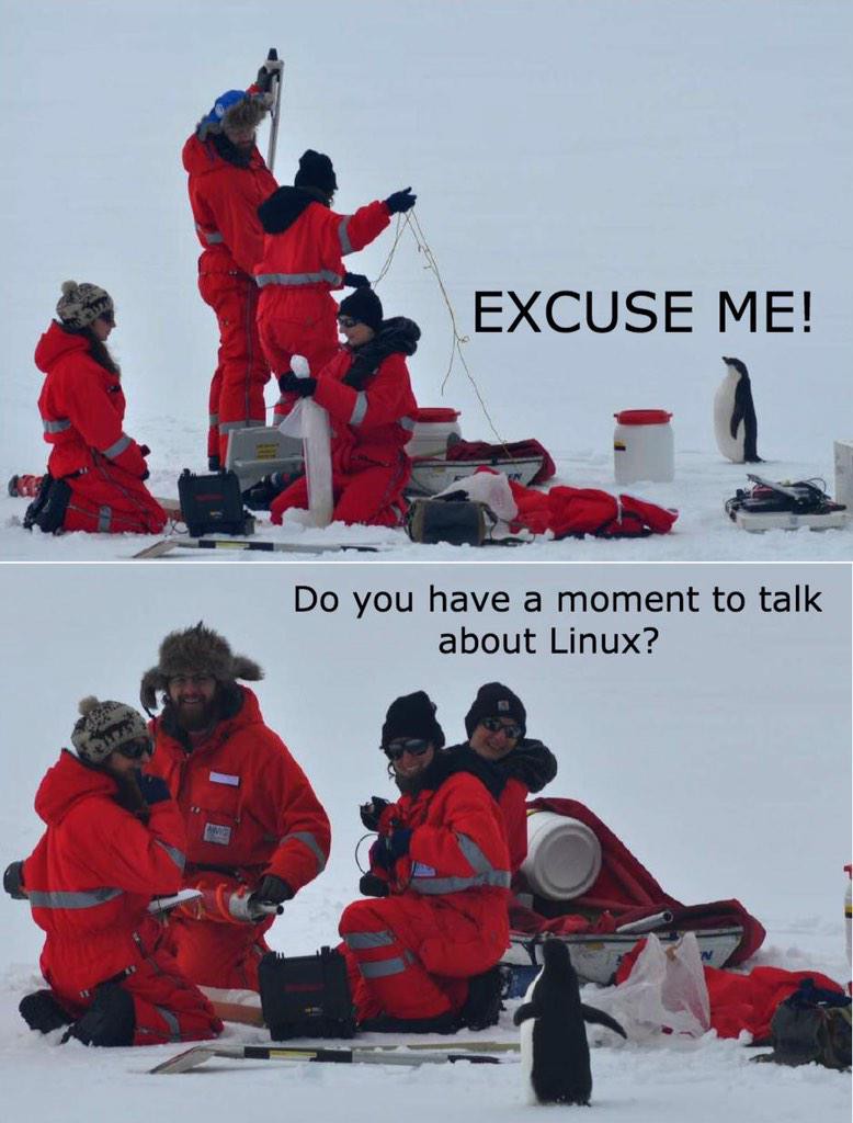 778x1024, 98 Kb / пингвин, линукс
