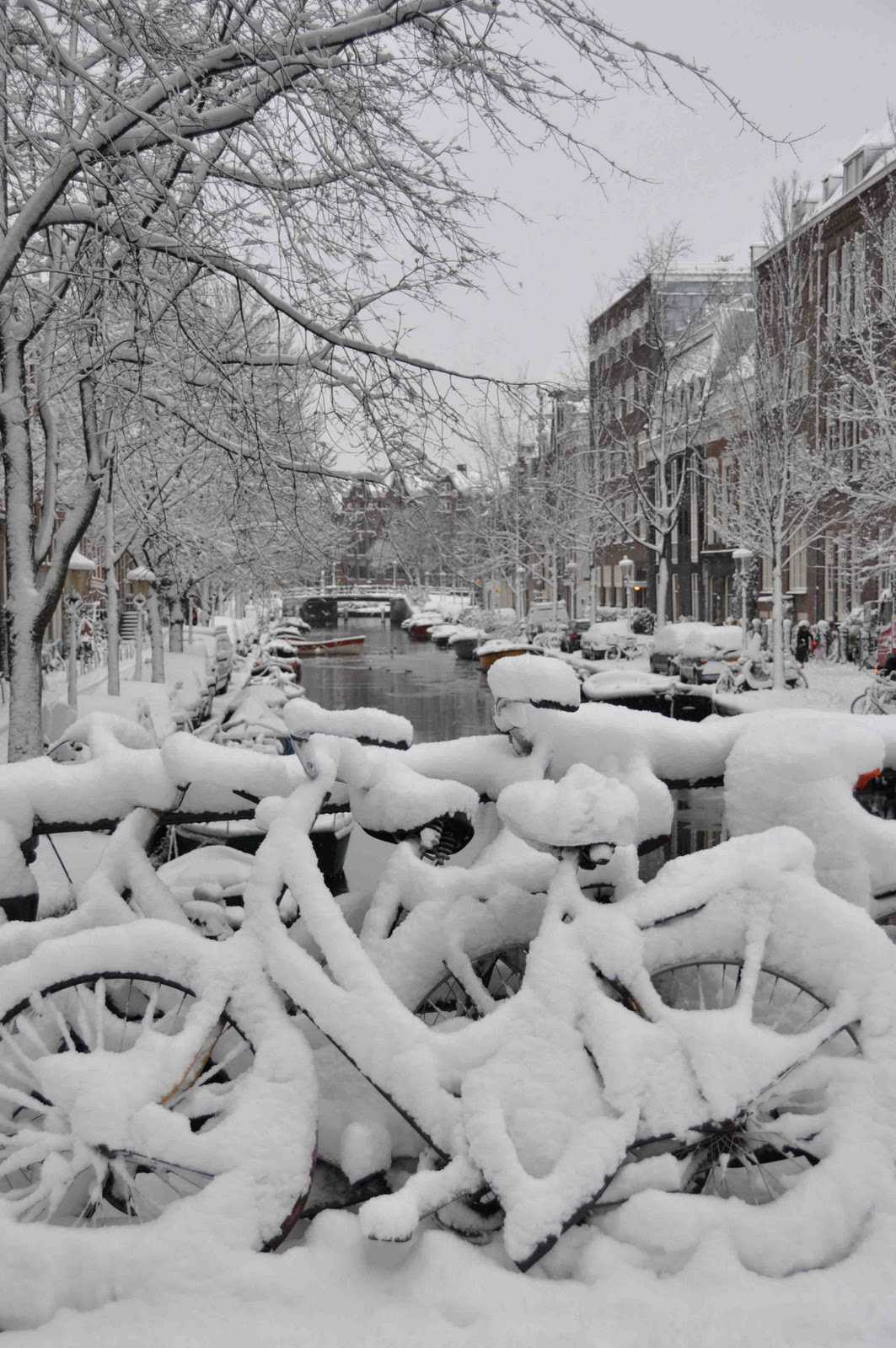 1063x1600, 175 Kb / велосипеды, амстердам, снег, зима, канал
