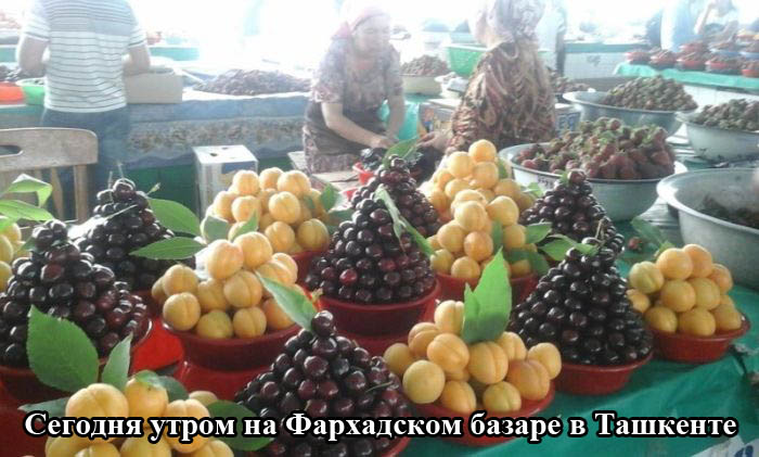 700x421, 85 Kb / рынок, Ташкент, базар, фрукты