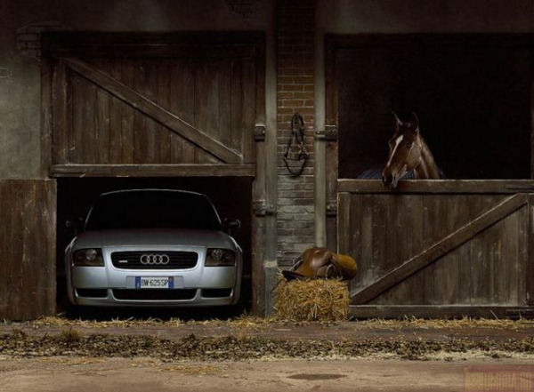600x441, 76 Kb / лошадь, стойло, Audi