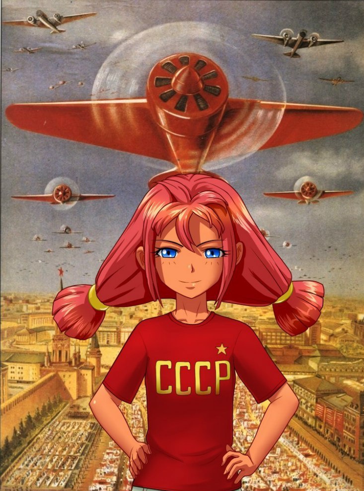 733x988, 248 Kb / Девочка, самолёт, парад, СССР
