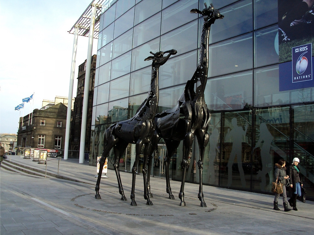 1000x750, 231 Kb / жирафы, скульптура, эдинбург, шотландия