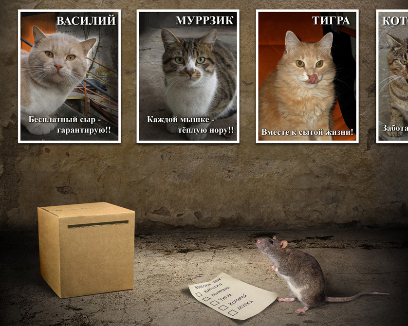 838x670, 254 Kb / плакаты, агитация, выборы, коты, крыса