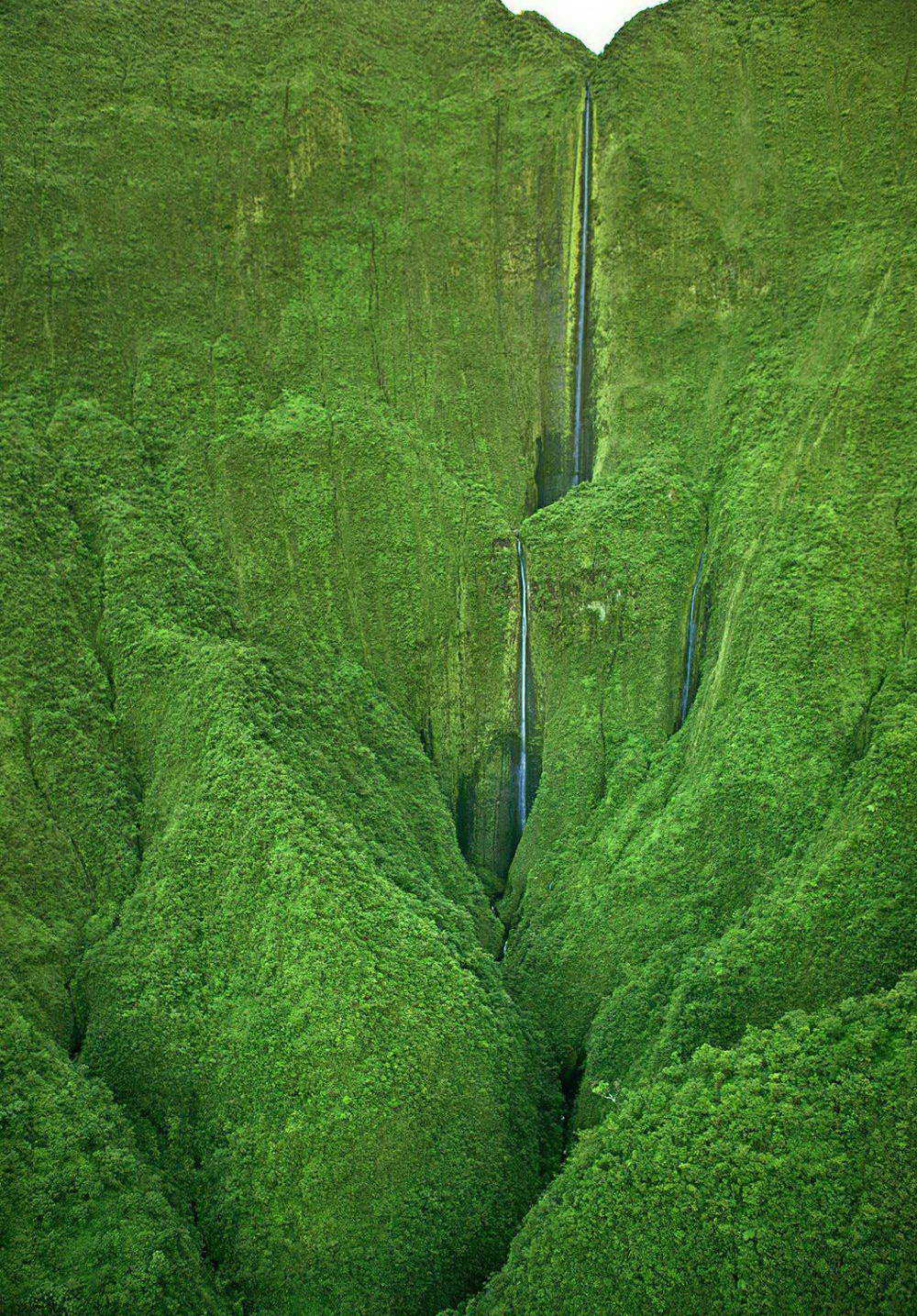 1000x1435, 347 Kb / Гаваи, холмы, зелень