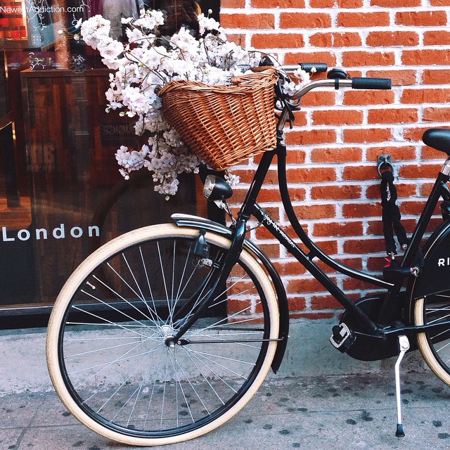 640x640, 190 Kb / велосипед, лондон, цветы, корзина