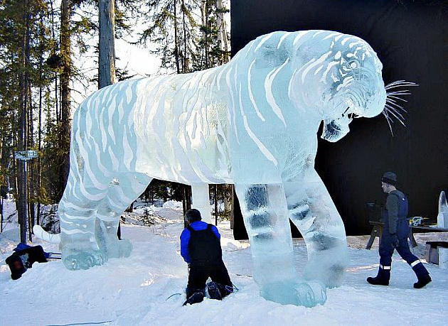 630x459, 152 Kb / лед, тигр, снег
