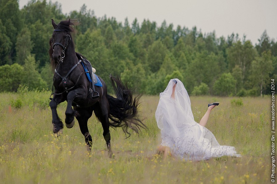 900x600, 106 Kb / лошадь, невеста