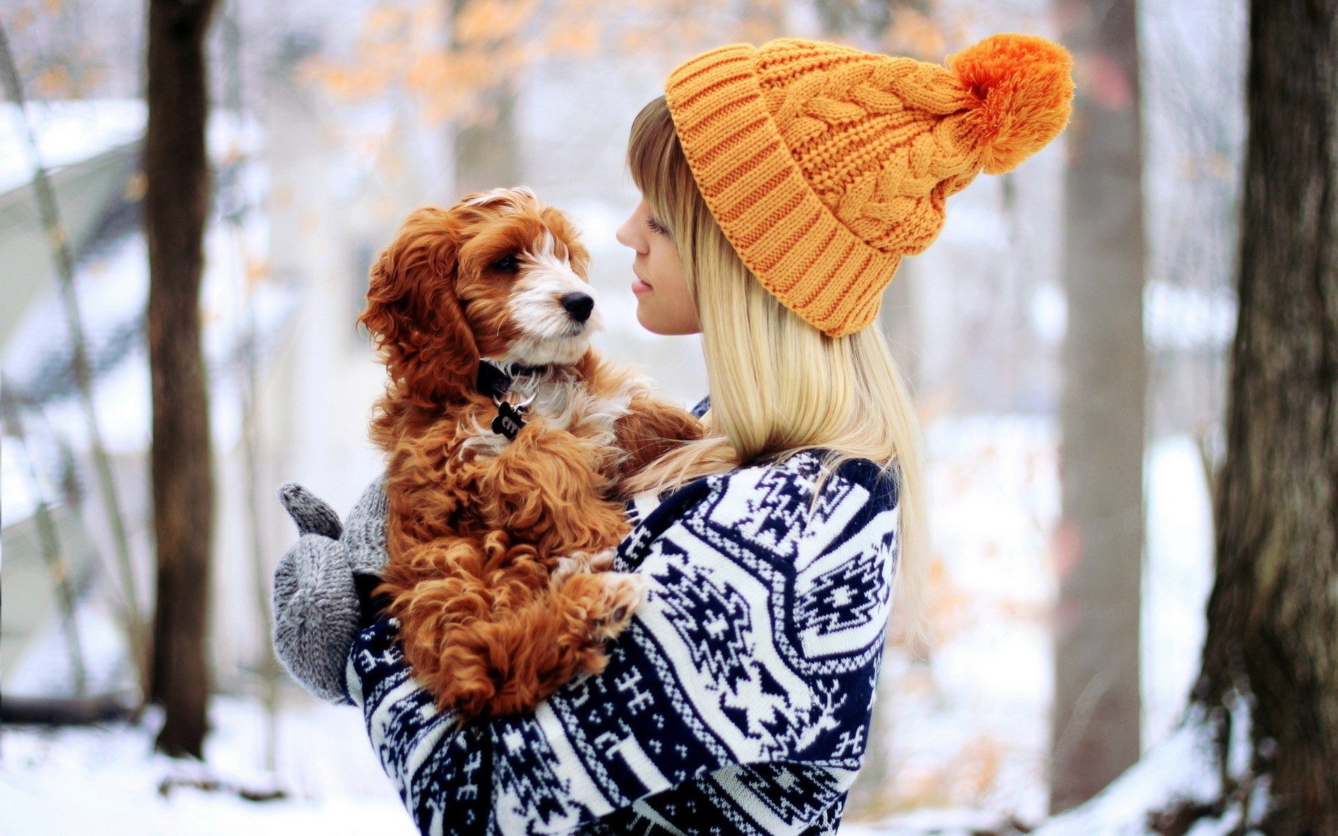 1920x1200, 387 Kb / блондинка, собака, шапка, зима