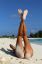 пляж, песок, голая, ноги, браслет, Катя Кловер, Katya Clover