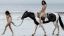 голая, верхом, конь, лошадь, берег, Kendall Jenner