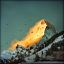 , , , , Matterhorn